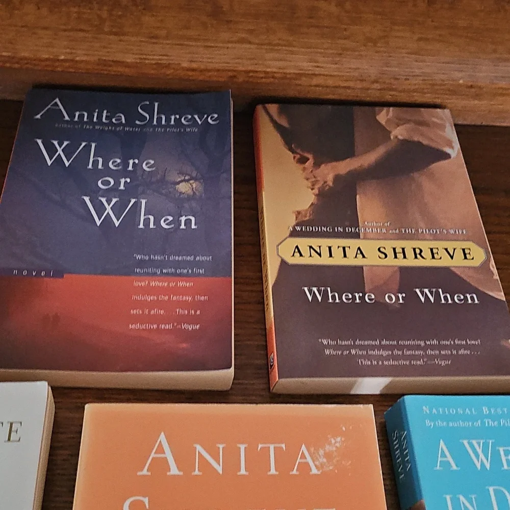 Anita Shreve Book Collection - Picture 2 of 3
